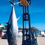 Nuovo Capo Altano Portoscuso
