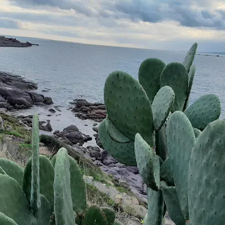 Nuovo Capo Altano 3* ポルトスクーゾ