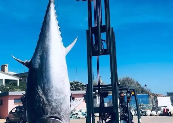 Nuovo Capo Altano Portoscuso